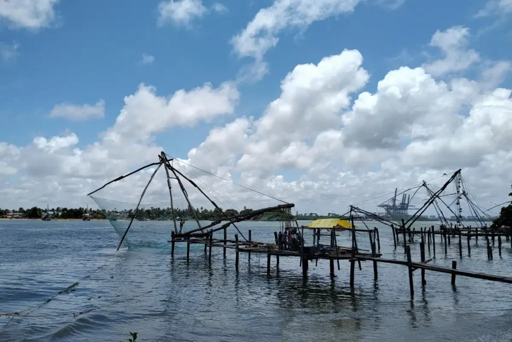 Residential plots for sale in Ernakulam with strong investment potential and connectivity