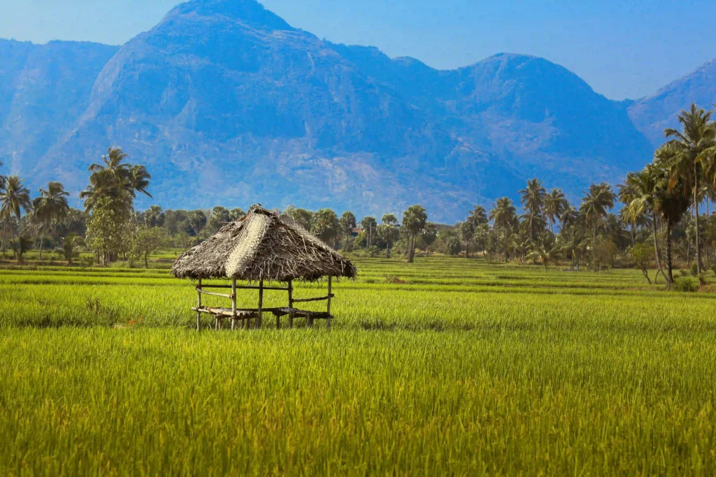 Residential plots for sale in Palakkad with excellent investment and development potential