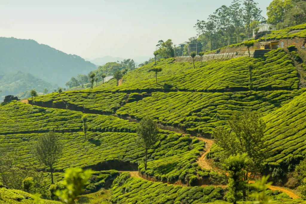 Residential plots for sale in Idukki with scenic surroundings and investment potential